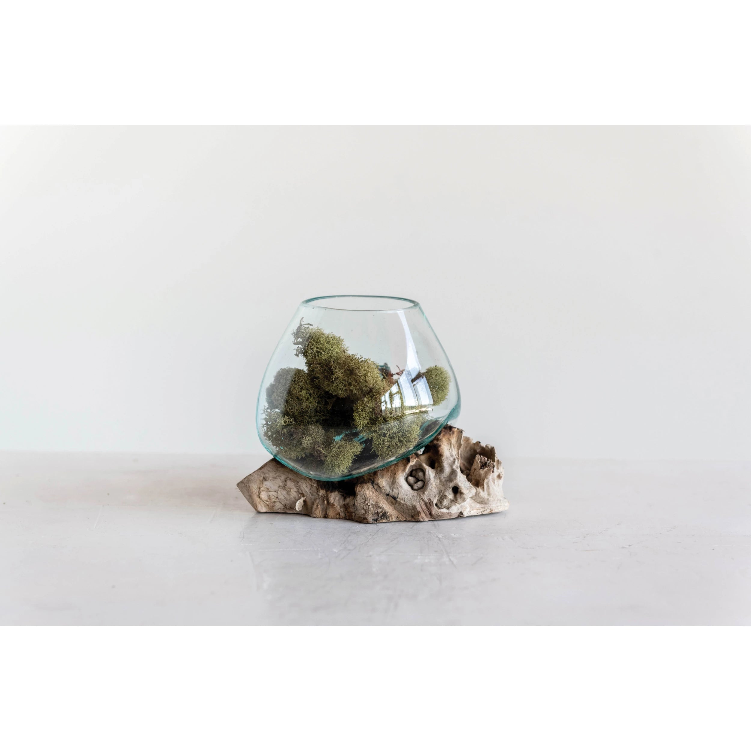 Glass Vase 7" on Natural Wood Base